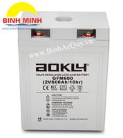 Aokly GFM-600(2V/600Ah)