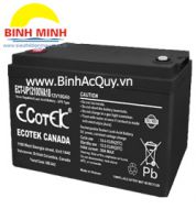 Ecotek ECT-UP12100VA18( 12V/100Ah)