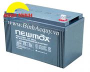 Ắc quy Newmax PNB 121000( 12V/100Ah)