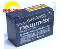 Newmax PNB 121300( 12V/130Ah)