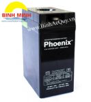 Ắc quy Phoenix TS22000(2V/200Ah)