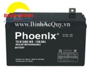 Ắc quy Phoenix TS61500(6V/150Ah)