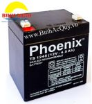 Phoenix TS1245 (12V /4.5Ah )