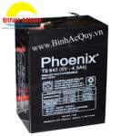 Ắc quy kín khí Phoenix TS645  ( 6V /4.5Ah)