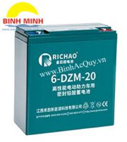 Richao 6-DZM-20( 12V/20Ah)
