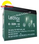 Ắc quy Lecmax 6-DZM-12( 12V/12Ah)