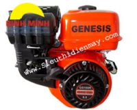 GENESIS GS160R( 5.5HP )