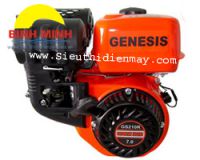 GENESIS GS210R(7.0HP)