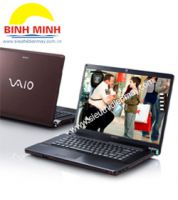 Sony Vaio VGN-FW460J ( Color:Brown, Gray)