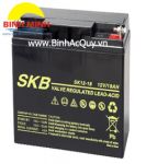 SKB SK12-18( 12V-18Ah)