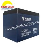 Ắc quy TIANNENG 6-DZM-12( 12V/12Ah)