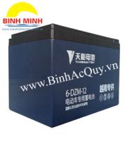 Ắc quy TIANNENG 6-DZM-12( 12V/12Ah)