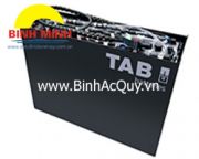 Ắc quy xe nâng TAB DIN-S